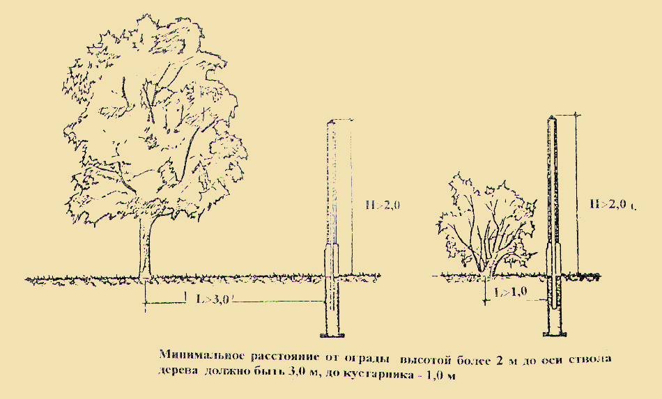 Размещение деревьев и кустарников у оград (ограничения в м).
